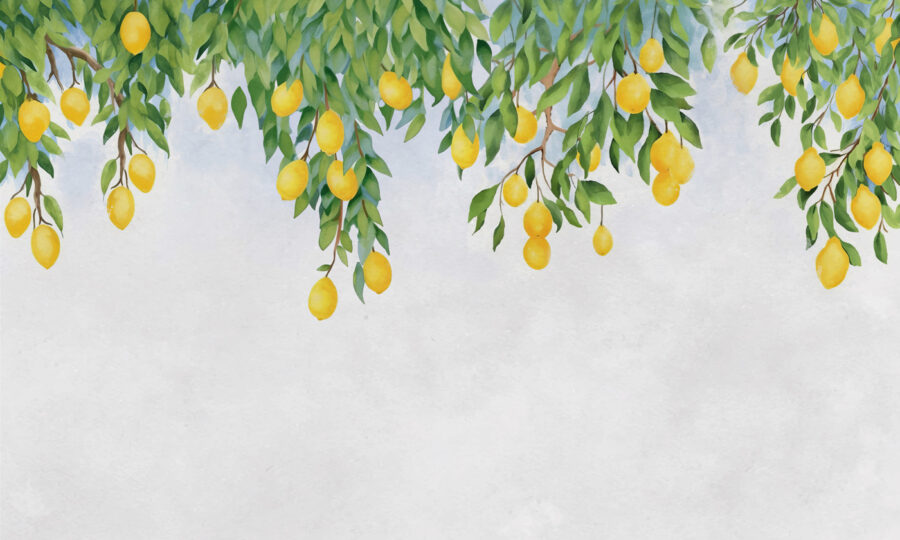 Eine Zitrone von einem Baum Eine Zitrone von einem Baum