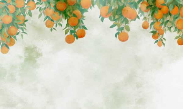 Orangen auf einem Baumzweig Orangen auf einem Baumzweig