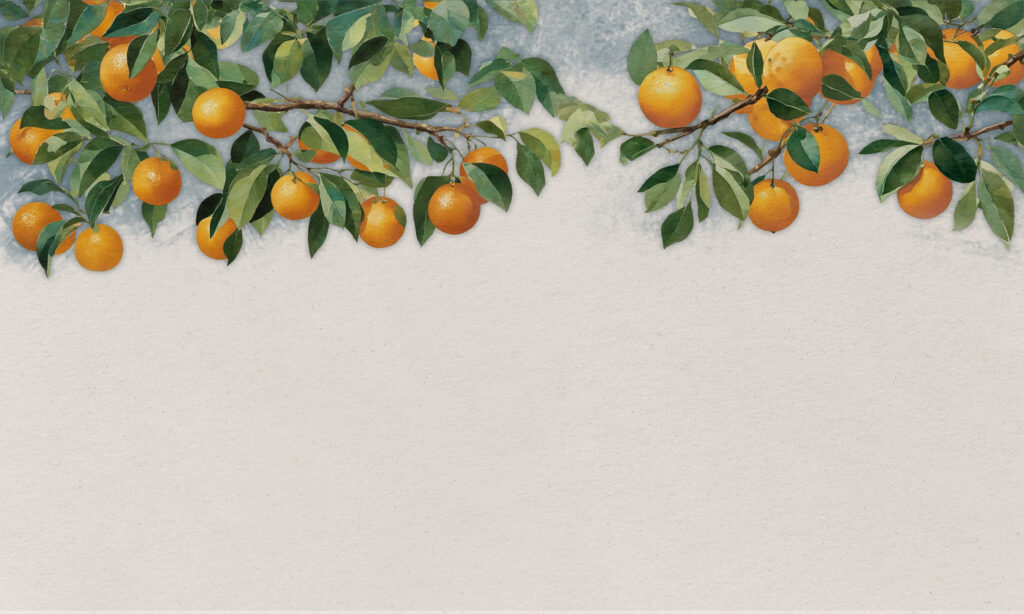 Ein Zweig mit Orangen und Blättern Ein Zweig mit Orangen und Blättern