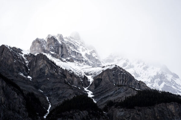Ein verschneiter Berg mit Bäumen Ein verschneiter Berg mit Bäumen