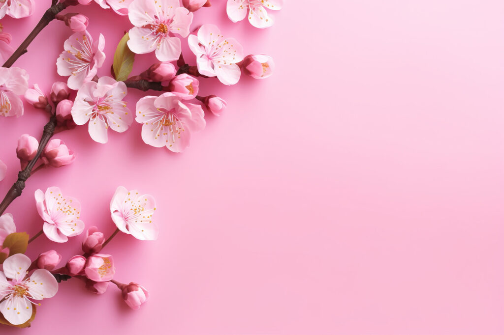 Gruppe von rosa Blumen auf einem rosa Hintergrund Gruppe von rosa Blumen auf einem rosa Hintergrund