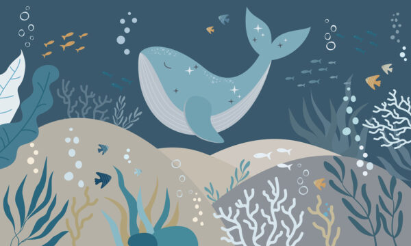 Wal schwimmt unter Wasser Wal schwimmt unter Wasser