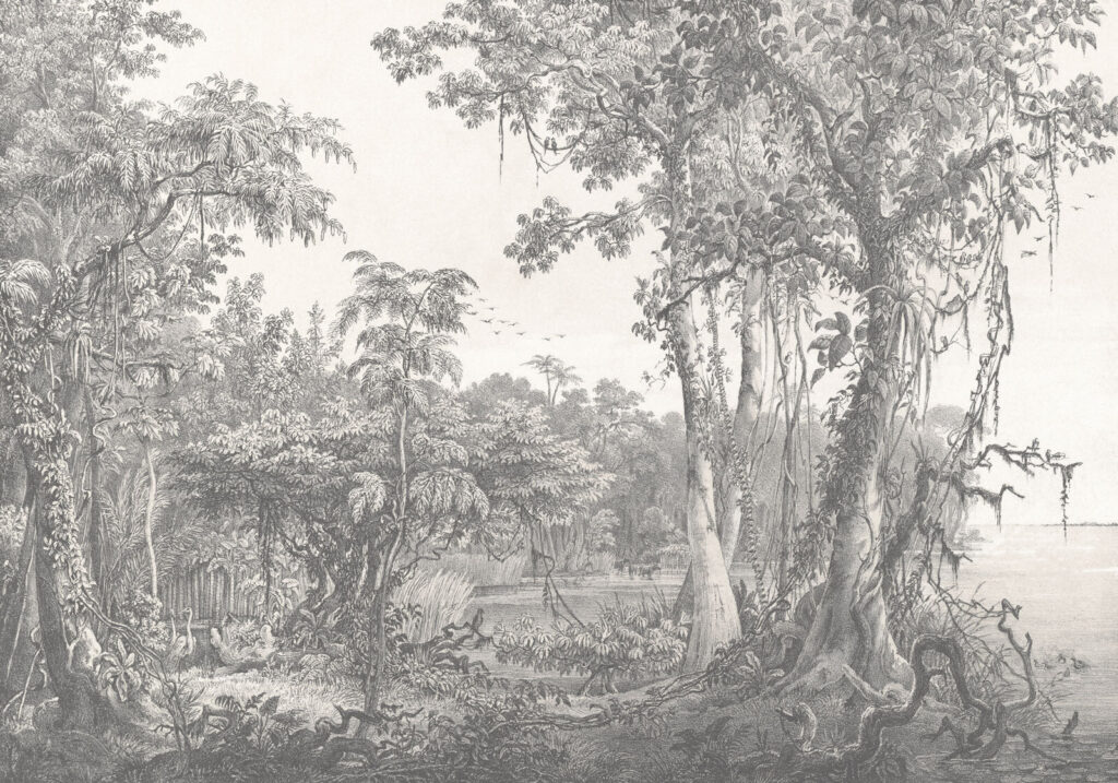 Zeichnung von Bäumen und Pflanzen u95795p 1024x717 - Zeichnung von Bäumen und Pflanzen