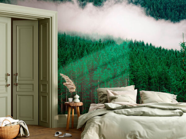 Ein Wald von Bäumen mit Nebel Ein Wald von Bäumen mit Nebel