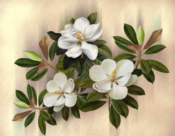 Schöne Magnolienblüten in der Ausstellung Schöne Magnolienblüten in der Ausstellung