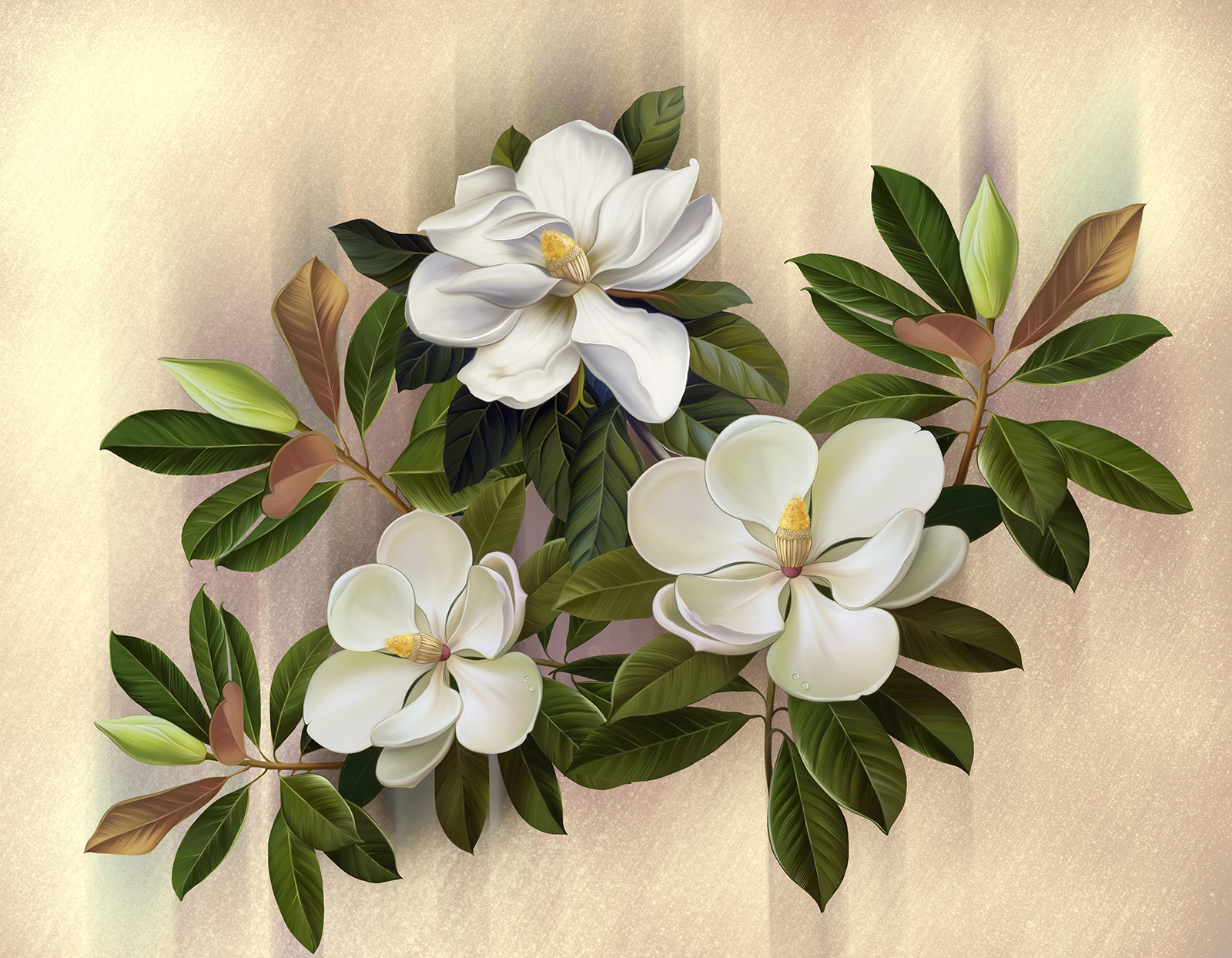 Schöne Magnolienblüten in der Ausstellung u95014p - Schöne Magnolienblüten in der Ausstellung - tegory