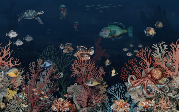 Meeresleben mit Fischen und Korallen u94467p 600x375 - Meeresleben mit Fischen und Korallen