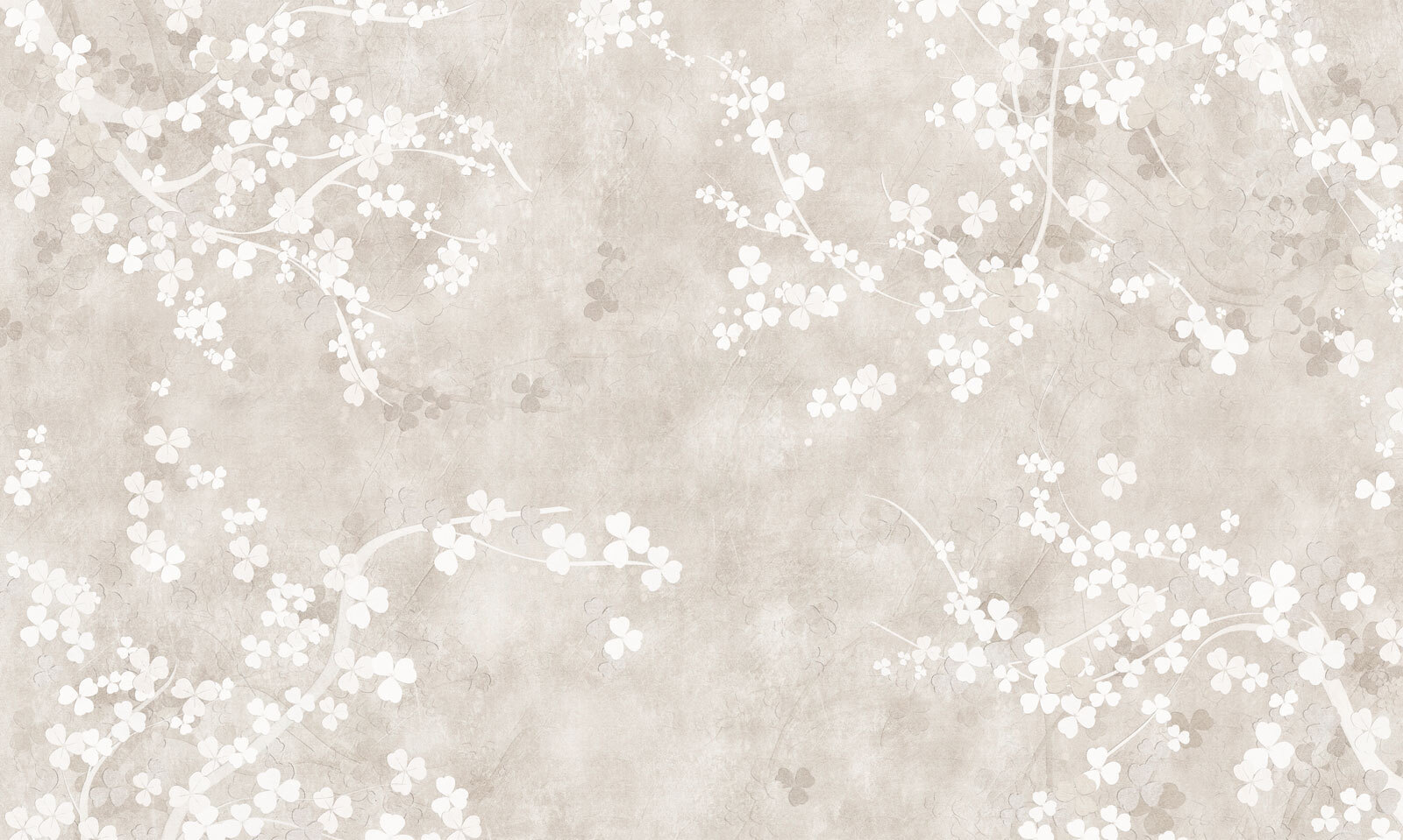 White flowers on a beige background