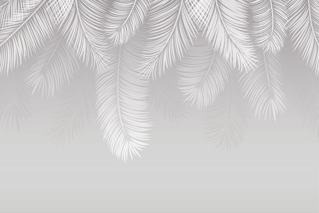 Weiße Federn auf grauem Hintergrund Weiße Federn auf grauem Hintergrund