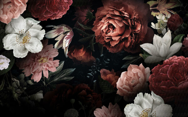 Elegante Blüten auf einem dunklen Hintergrund Elegante Blüten auf einem dunklen Hintergrund