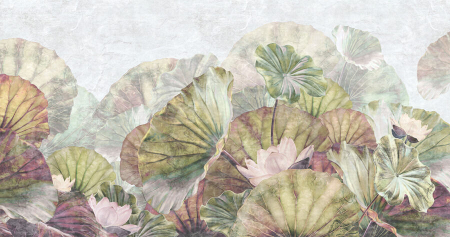 Zarte Seerosenblätter und -blüten