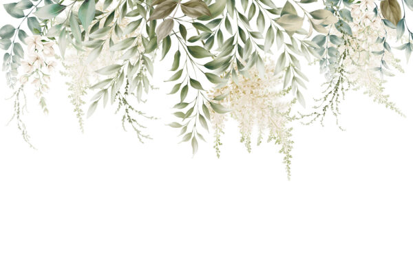 Delicate greenery on a white background Delicate greenery on a white background