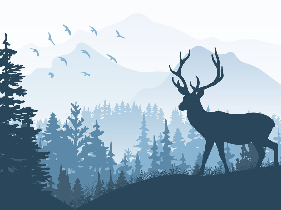 Hirsche im Wald