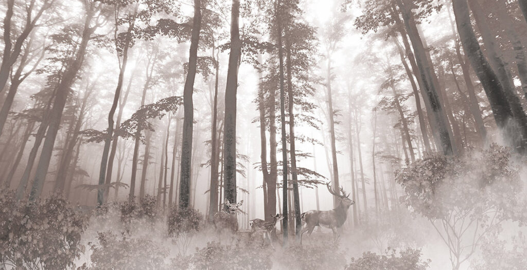 Gruppe von Hirschen in einem Wald Gruppe von Hirschen in einem Wald