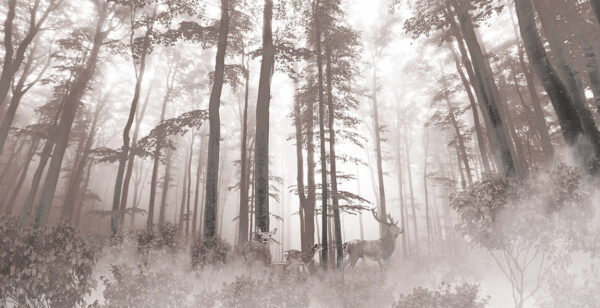 Gruppe von Hirschen in einem Wald Gruppe von Hirschen in einem Wald
