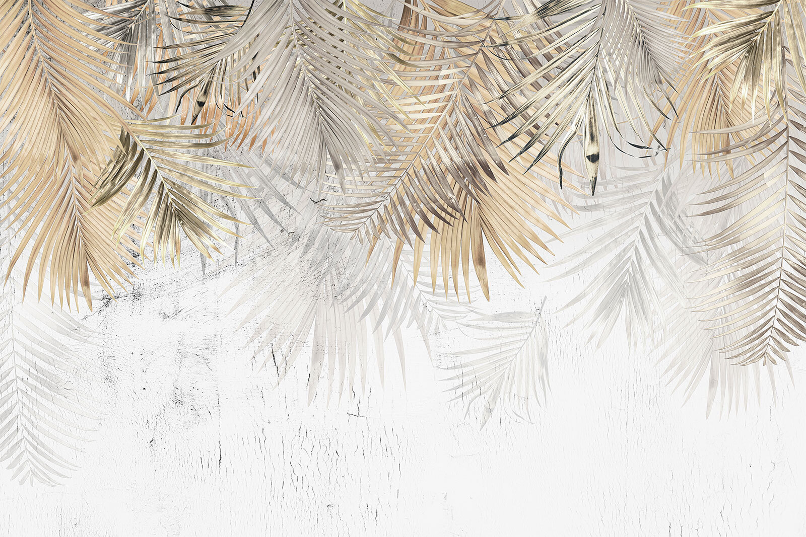 Elegante Palmenblätter auf einem strukturierten Hintergrund u93843p - Elegante Palmenblätter auf einem strukturierten Hintergrund