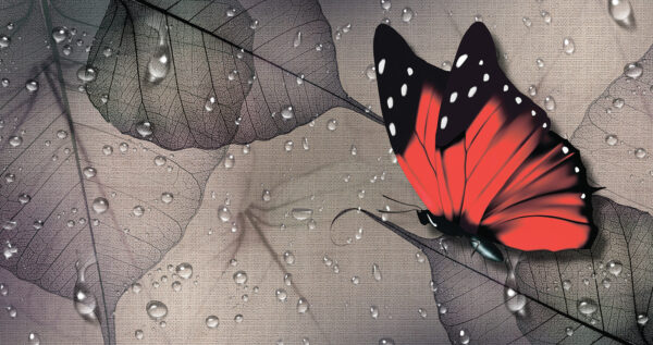 Schmetterling auf einem Blatt Schmetterling auf einem Blatt