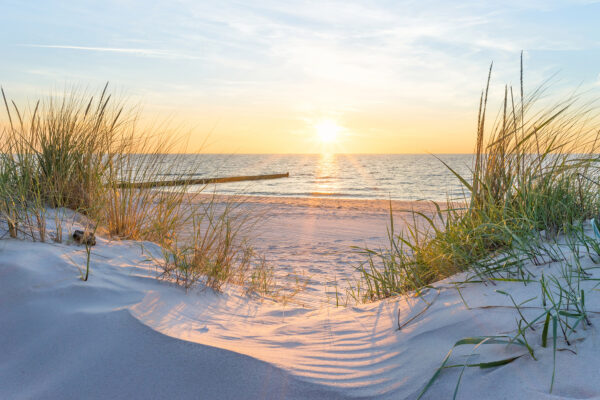 Strand mit Gras und einem Gewässer Strand mit Gras und einem Gewässer