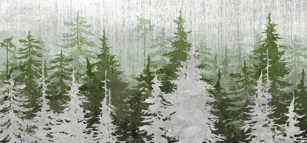 Gruppe von Bäumen in einem Wald Gruppe von Bäumen in einem Wald