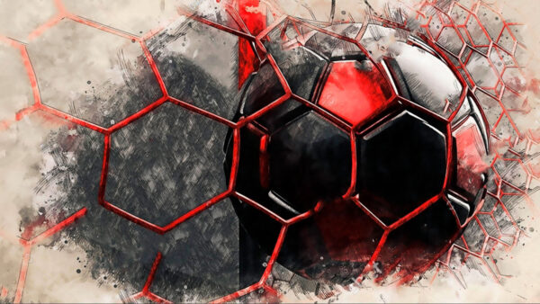 Fußball im Netz Fußball im Netz