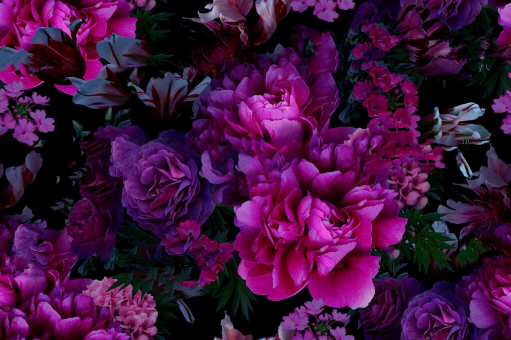 Gruppe violetter Blumen Gruppe violetter Blumen