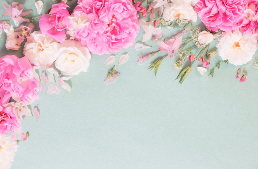 Gruppe von rosa Blumen