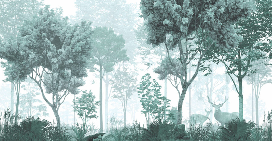 Ein Wald mit Bäumen und Pflanzen