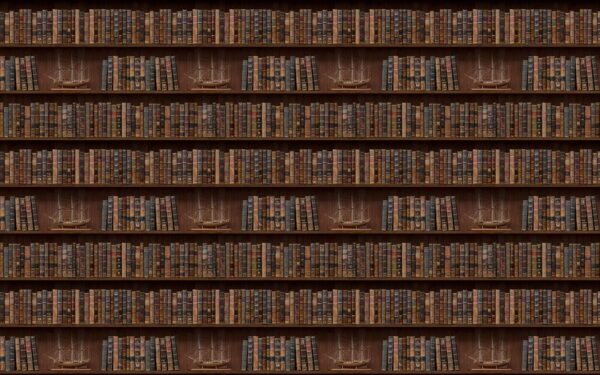 Bücherwand mit Booten darauf u72118p 600x375 - Bücherwand mit Booten darauf - tegory