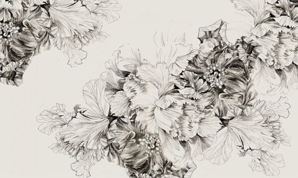 Zeichnung von Blumen auf einem weißen Hintergrund Zeichnung von Blumen auf einem weißen Hintergrund