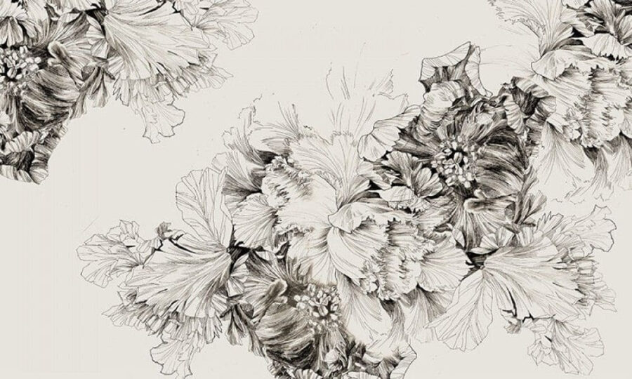 Zeichnung von Blumen auf einem weißen Hintergrund
