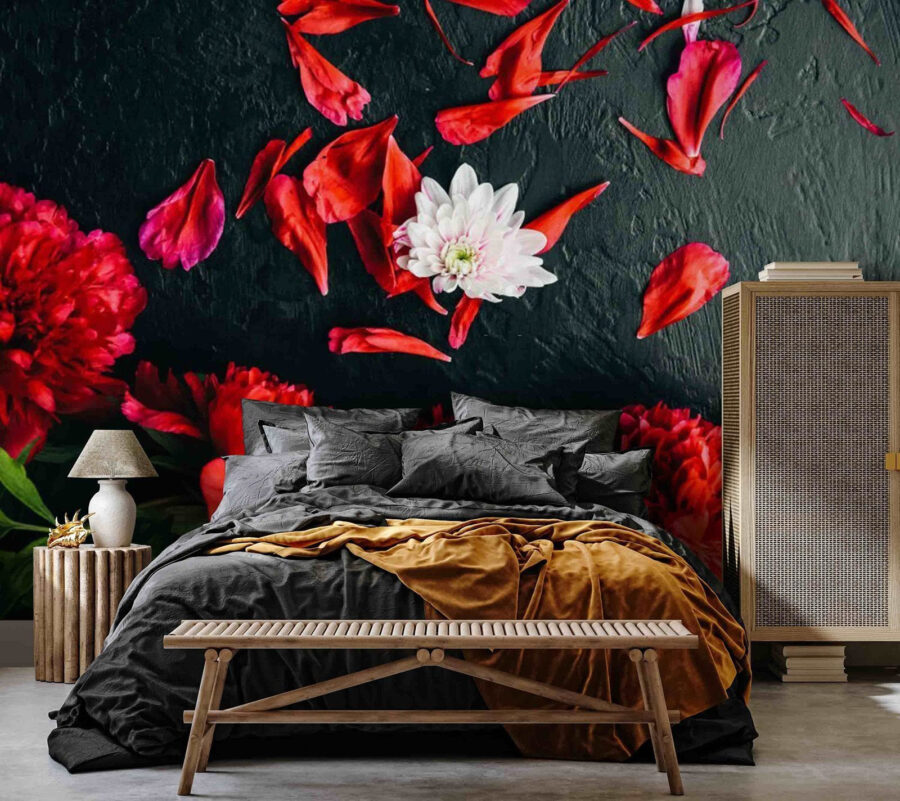 Gruppe roter Blumen mit Blütenblättern auf einer schwarzen Fläche