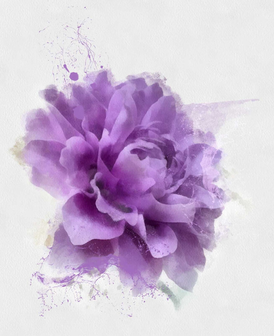 Lila Blume mit Farbspritzern