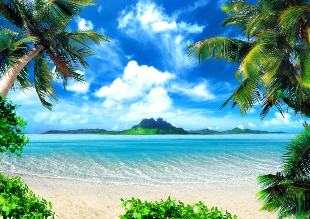 Strand mit Palmen und blauem Wasser Strand mit Palmen und blauem Wasser