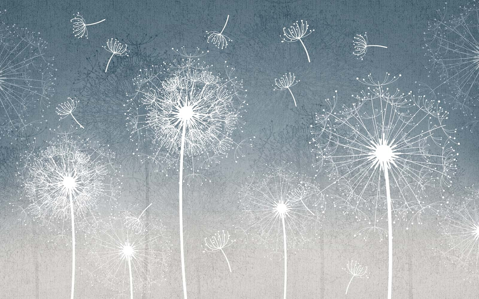 u63857p - Weißer Löwenzahn in der Luft - tegory