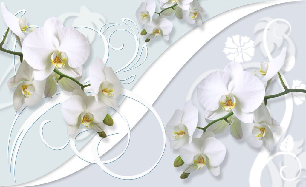 Schöne Orchideen auf einem weichen Hintergrund Schöne Orchideen auf einem weichen Hintergrund