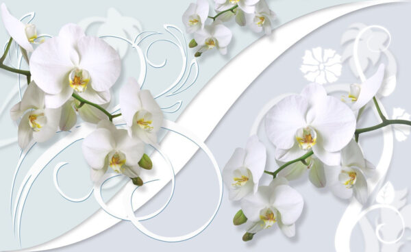 Schöne Orchideen auf einem weichen Hintergrund Schöne Orchideen auf einem weichen Hintergrund