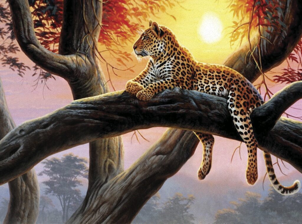 Leopard auf einem Baumast liegend Leopard auf einem Baumast liegend