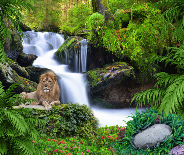 Löwe auf einem Felsen neben einem Wasserfall liegend Löwe auf einem Felsen neben einem Wasserfall liegend