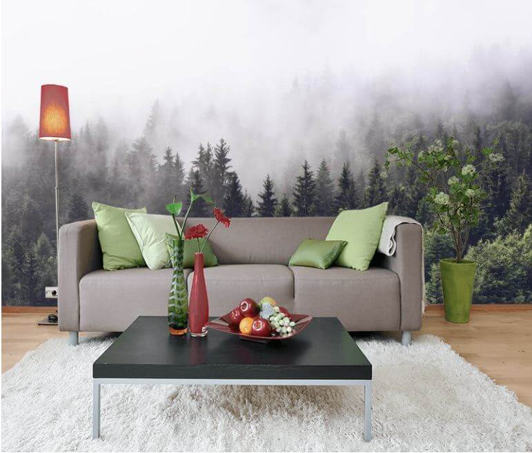 u62724pig1m - Wald von Bäumen mit Nebel - tegory