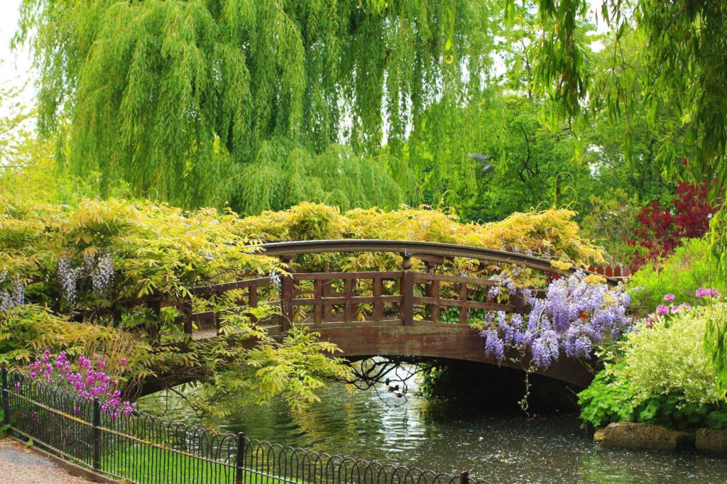 Brücke über das Wasser mit Bäumen und Pflanzen Brücke über das Wasser mit Bäumen und Pflanzen