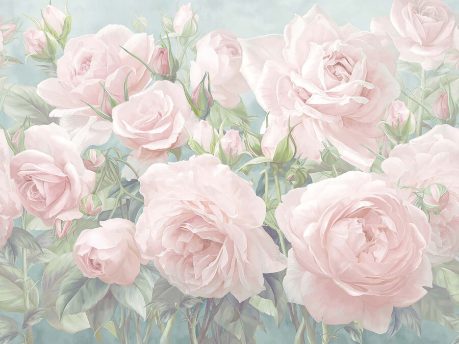 Gruppe von rosa Rosen