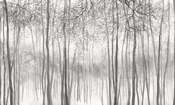 Gruppe von Bäumen in einem verschneiten Wald Gruppe von Bäumen in einem verschneiten Wald