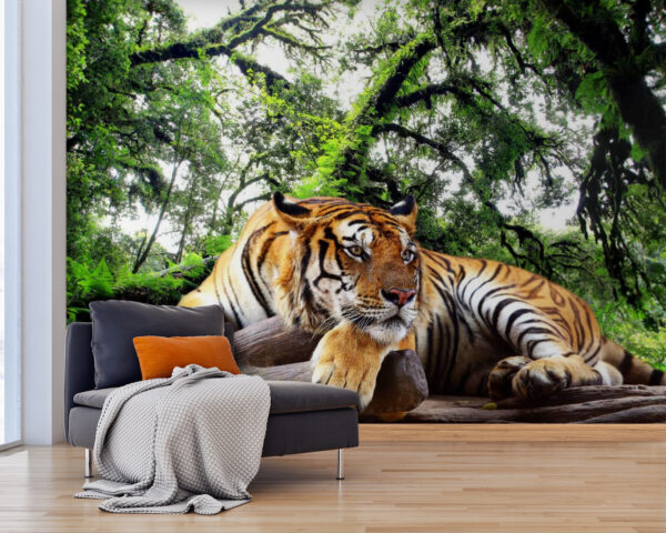 Tiger auf einem Baumstamm liegend Tiger auf einem Baumstamm liegend