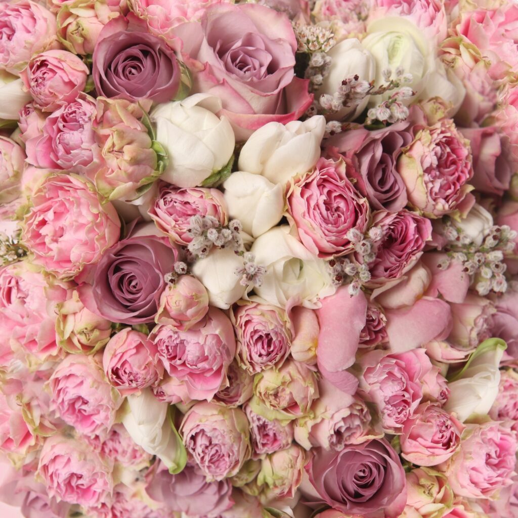 Wunderschöner Strauß aus rosa Rosen u57795p 1024x1024 - Wunderschöner Strauß aus rosa Rosen - tegory