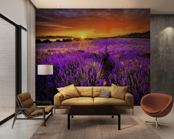 Feld mit violetten Blumen Feld mit violetten Blumen