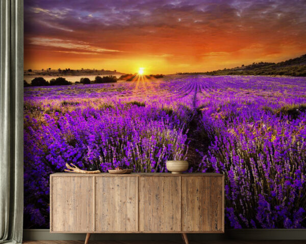 Feld mit violetten Blumen Feld mit violetten Blumen
