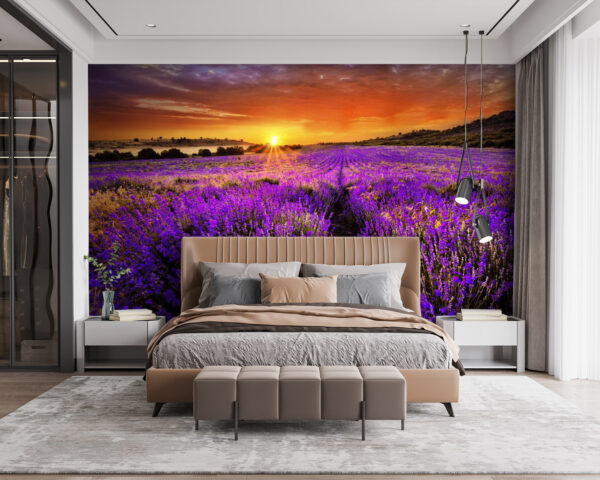 Feld mit violetten Blumen Feld mit violetten Blumen