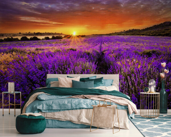 Feld mit violetten Blumen Feld mit violetten Blumen
