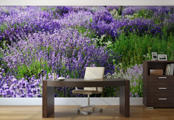 Feld mit violetten Blumen Feld mit violetten Blumen