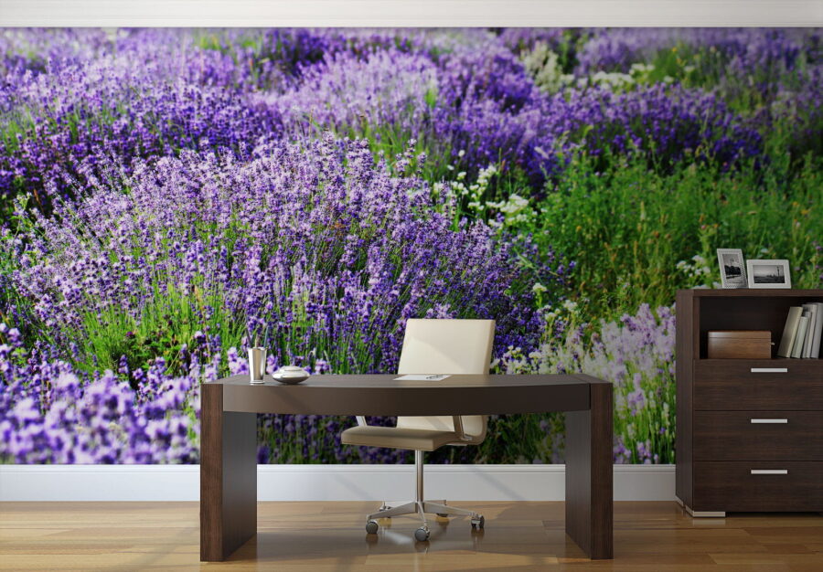 Feld mit violetten Blumen